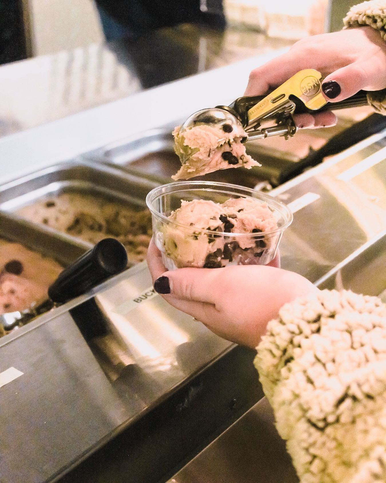 Kelly's Famous Edible Cookie Dough - 10oz - Chocolate Chip